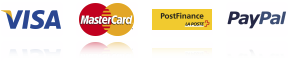 Visa, Mastercard, American Express, PayPal, Bank