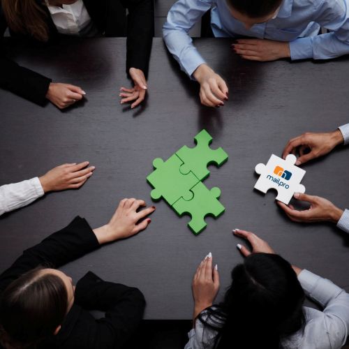 Email Marketing Team