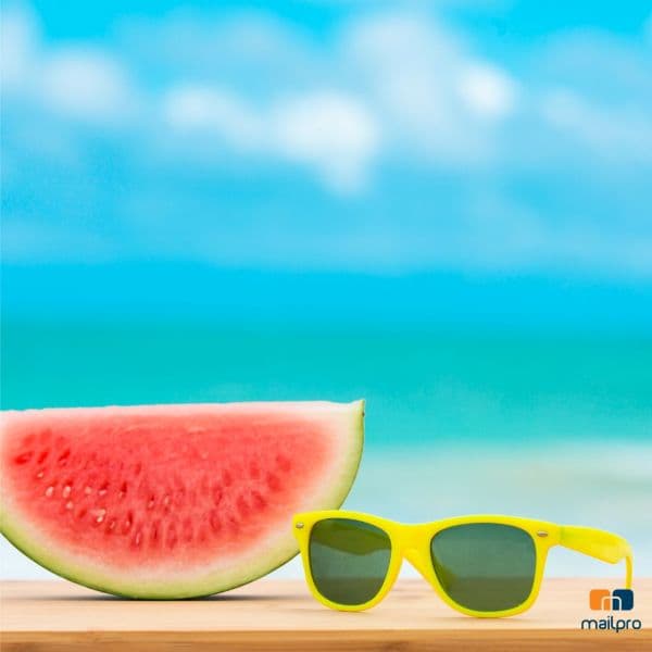 Email Marketing Estivo