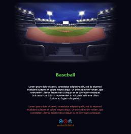 Baseball e Passione