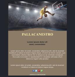 Basketball-basic-03 (IT)