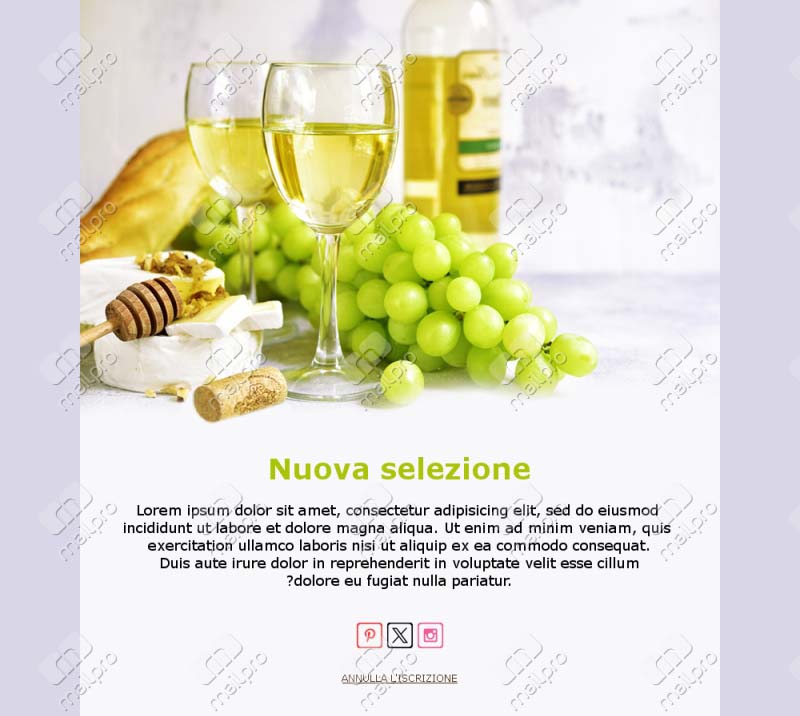 Produttori di Vino
