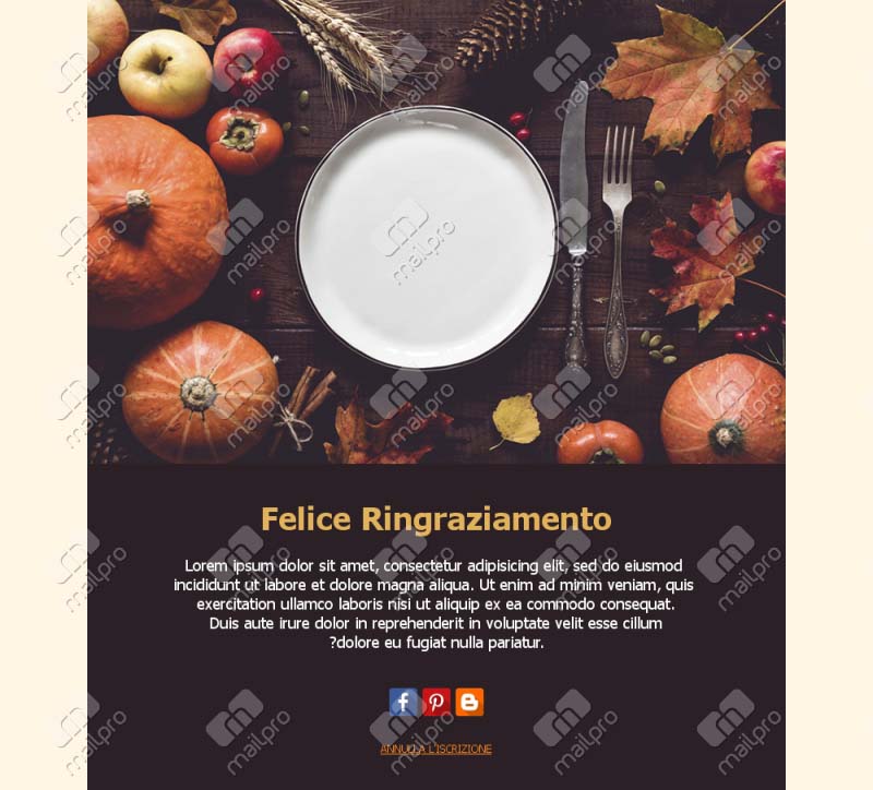 Ringraziamenti Speciali