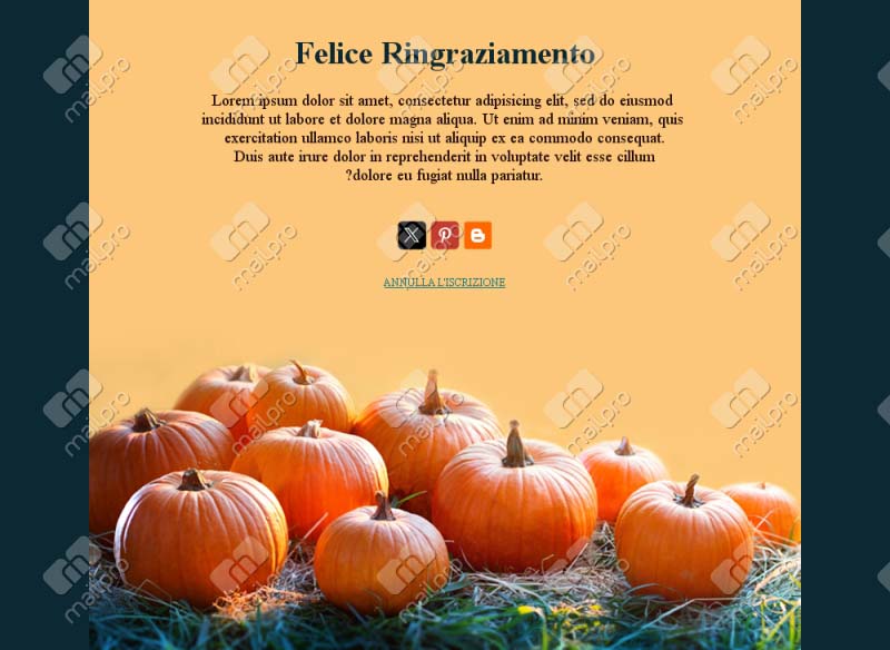 Ringraziamenti Speciali