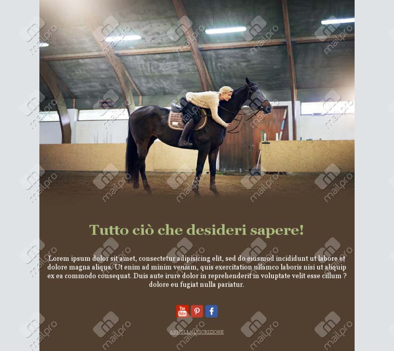 Equitazione e Passione