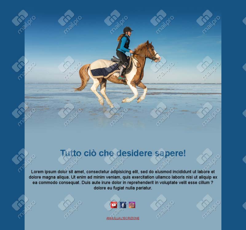 Pallamano Aggiornamenti