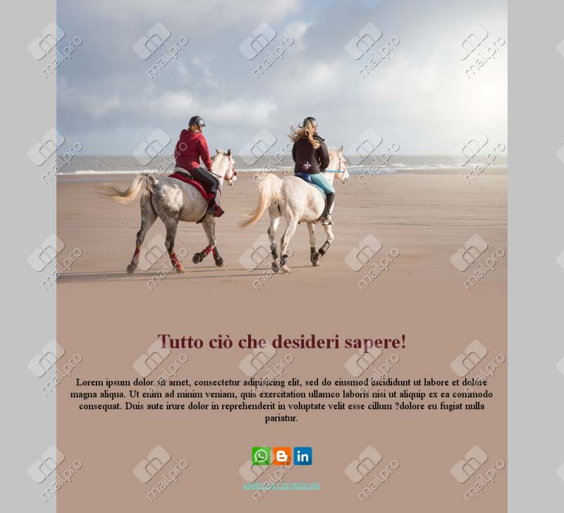 Equitazione e Passione