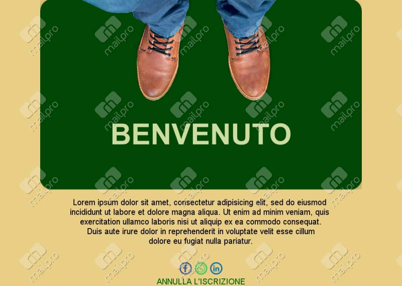 Template Email Pacchetto Welcome
