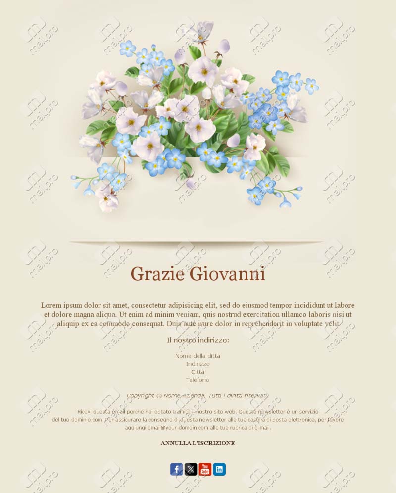 Email Template Grazie Sincero