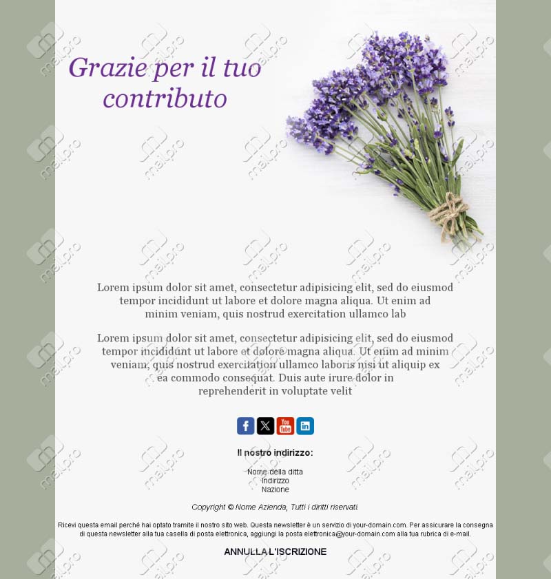 Modello Email Grazie Team