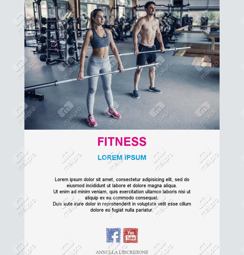 Template Email Gym Routine