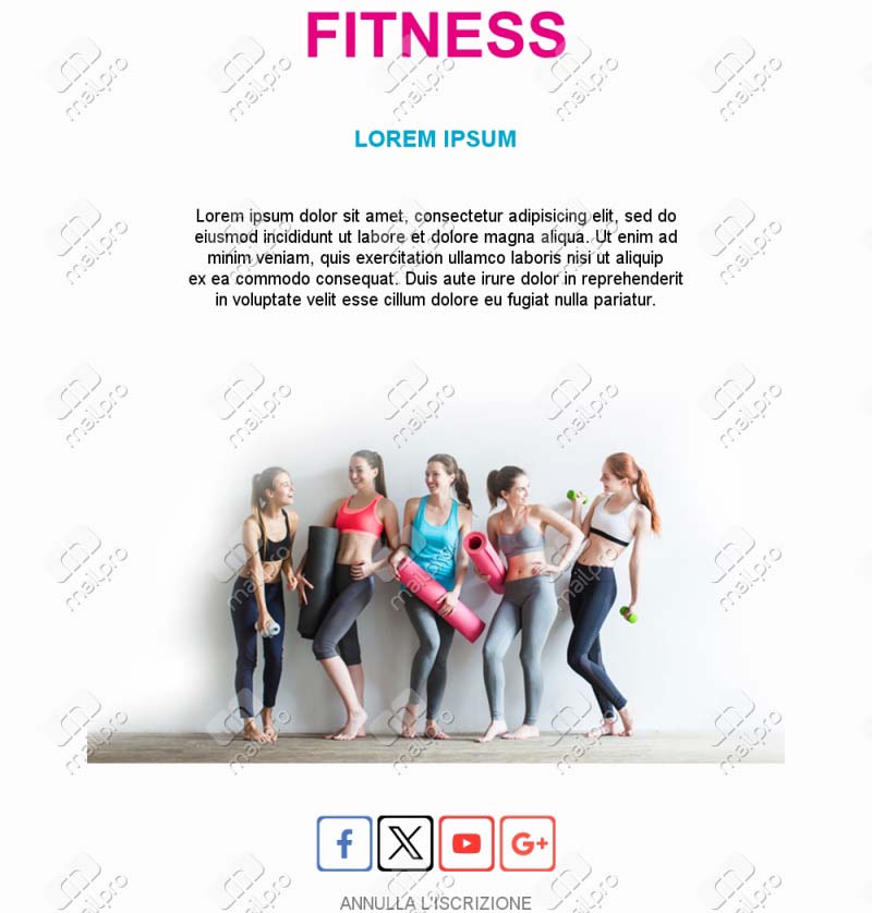 Template Email Spa Wellness Pro