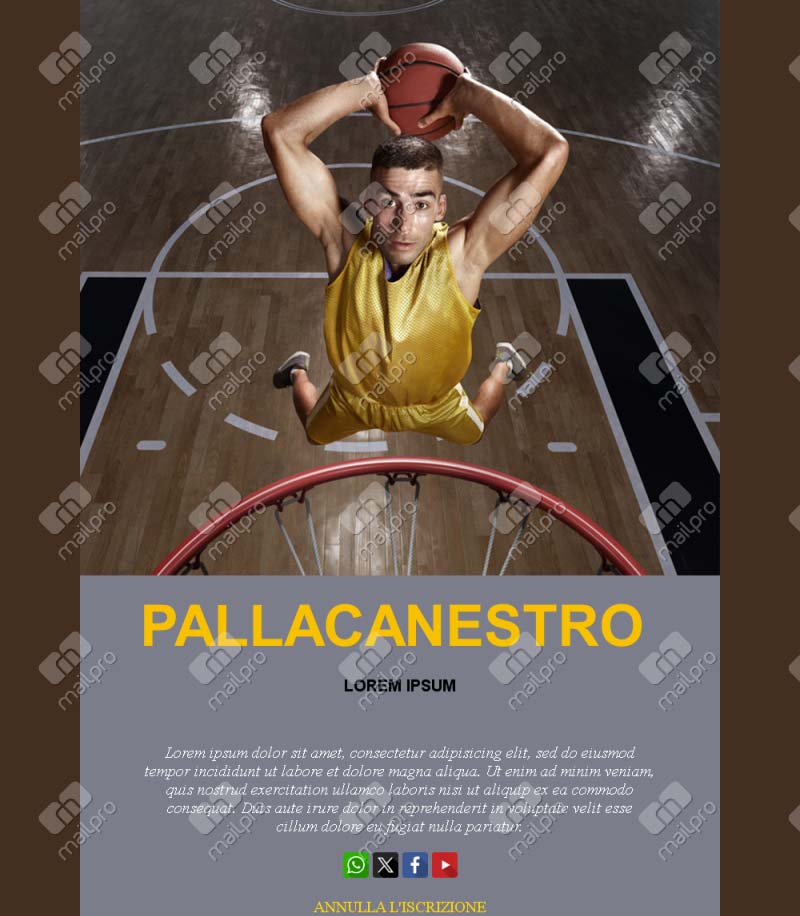 Template Email Basket Modelli