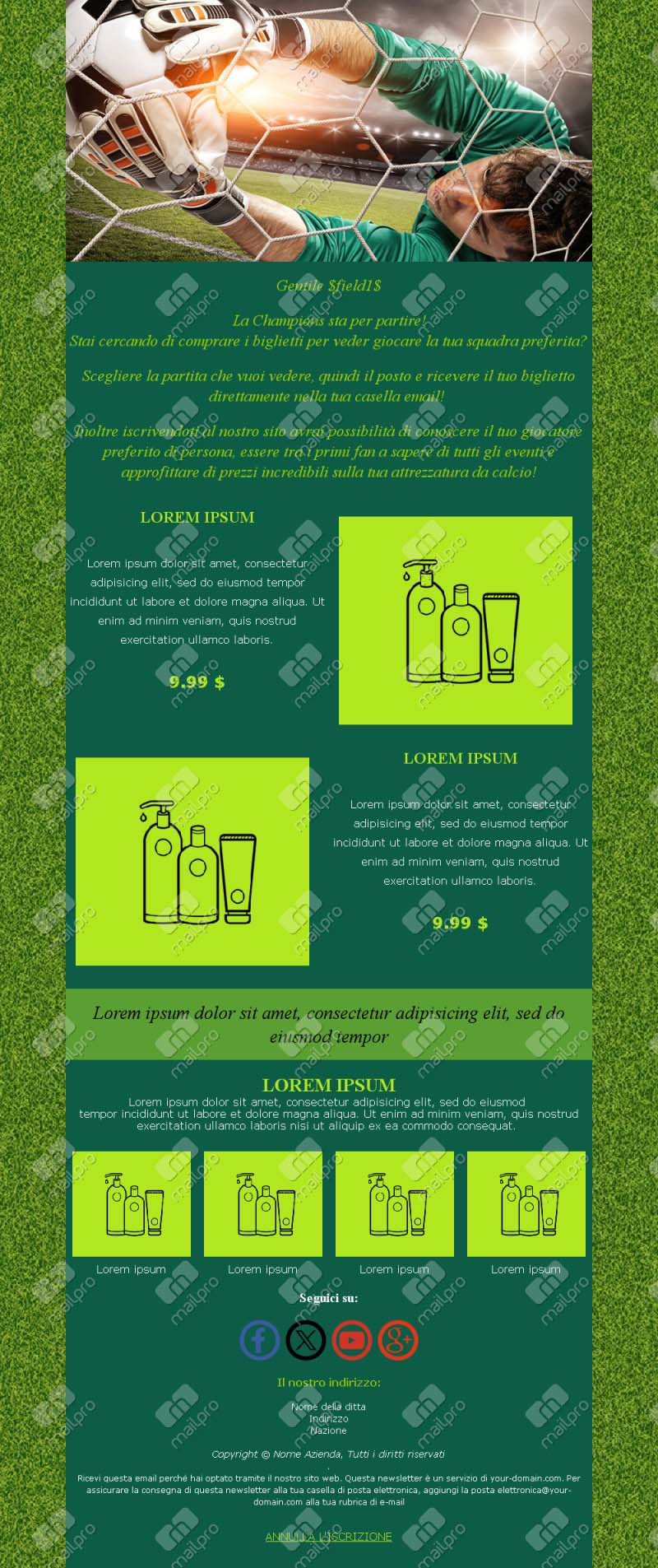 Template Email Beauty Layout