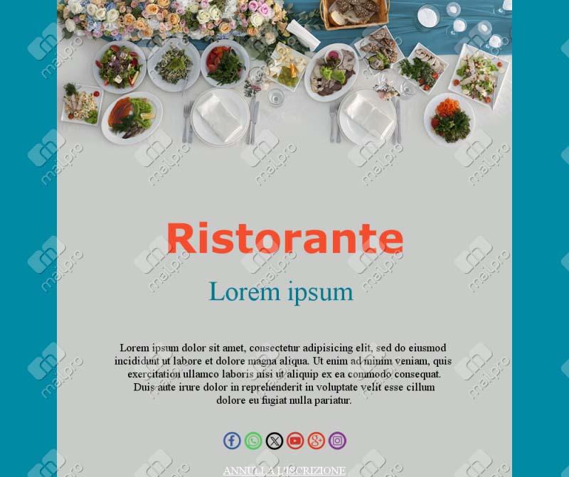 Menu Promo Email