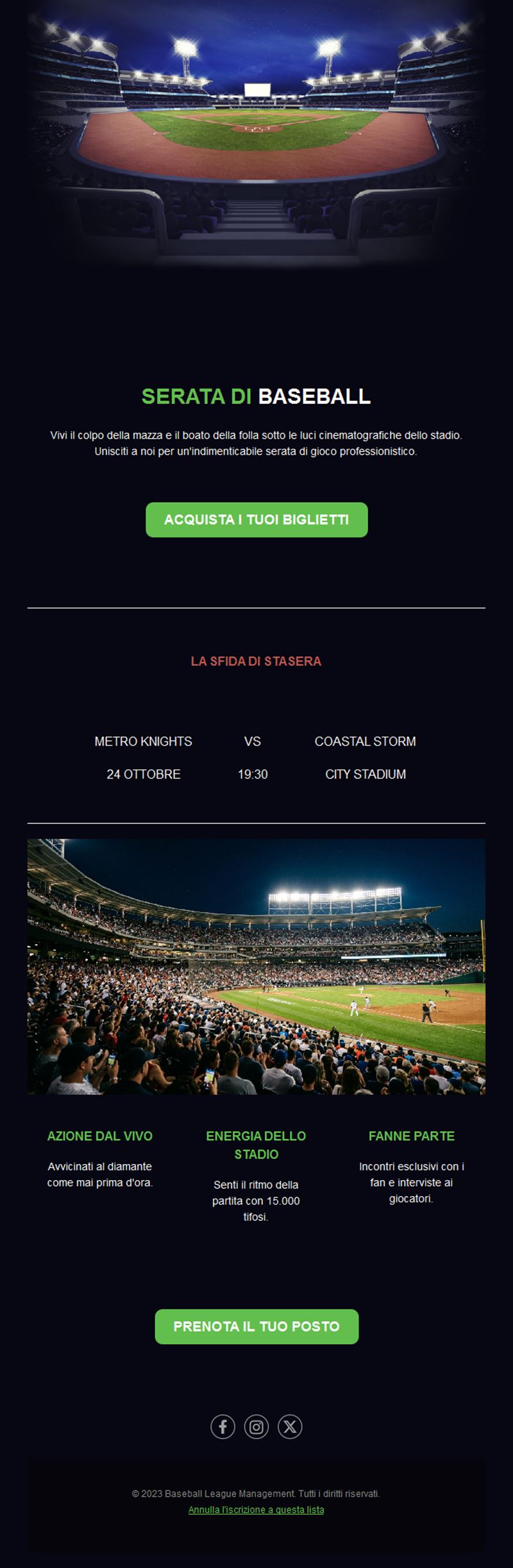 Vibrant Baseball Fan Templates