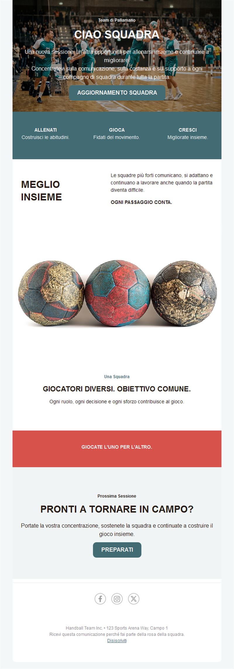 Handball Fan Emails