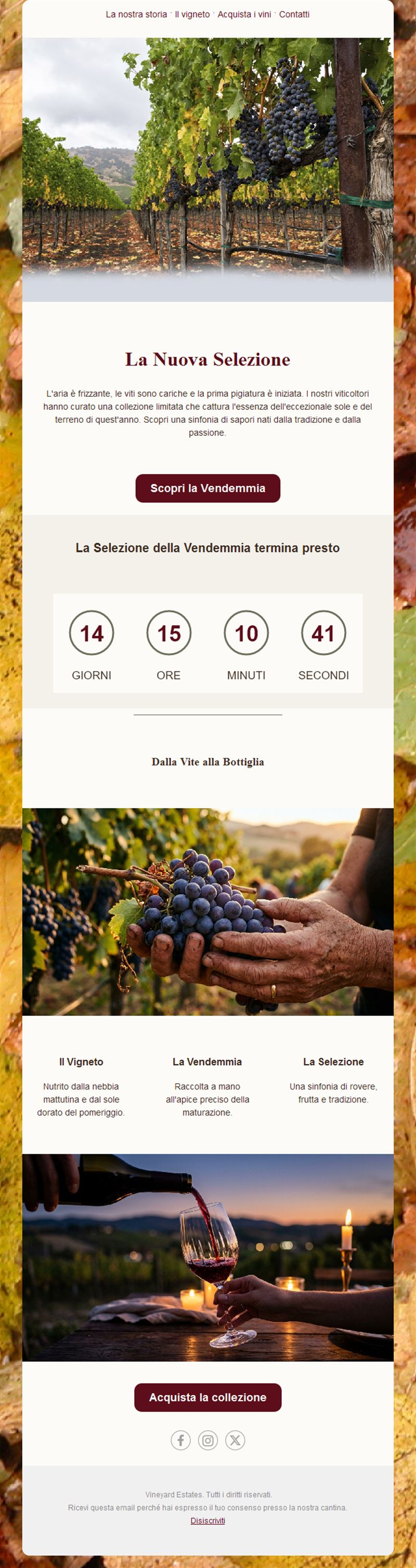 Vineyard Elegance Emails
