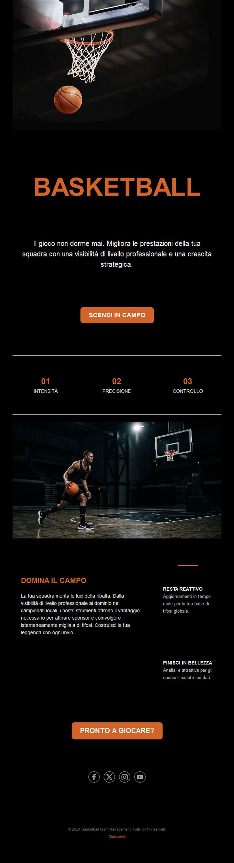 Basketball Newsletters Email