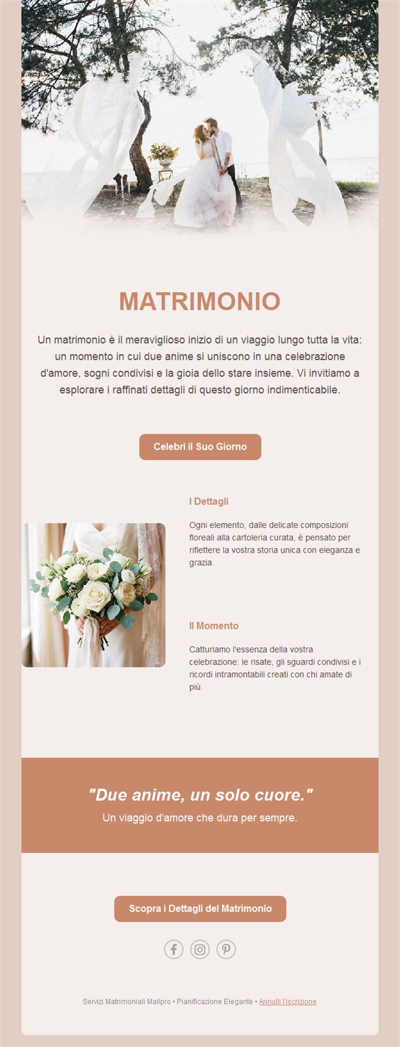 Email elegante di nozze color terracotta
