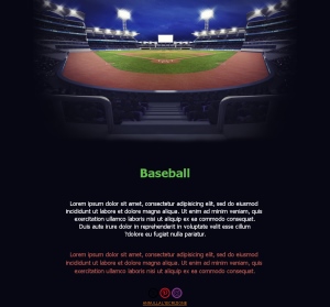 Baseball e Passione