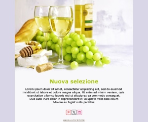 Produttori di Vino