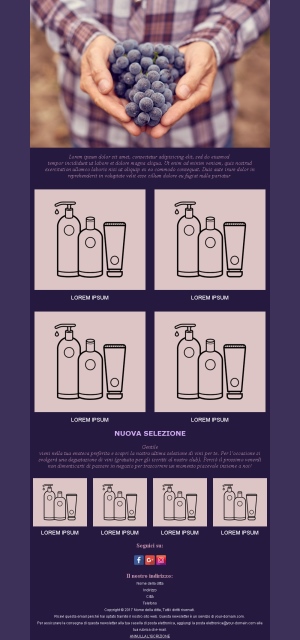 Cantine Vinicole Italia