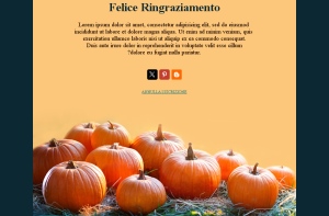 Ringraziamenti Speciali