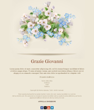 Email Template Grazie Sincero