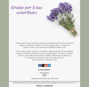 Modello Email Grazie Team
