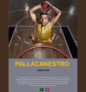 Template Email Basket Modelli