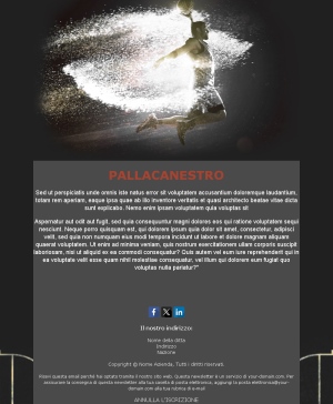 Template Email Allenamenti Basket