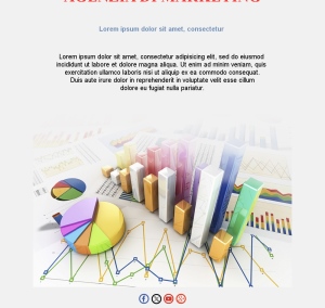 Template Email Beauty Deluxe	