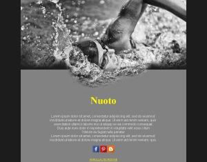 Nuoto Estivo