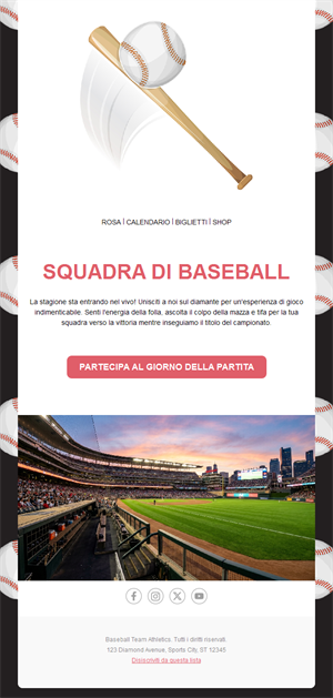 Vibrant Baseball Fan Templates