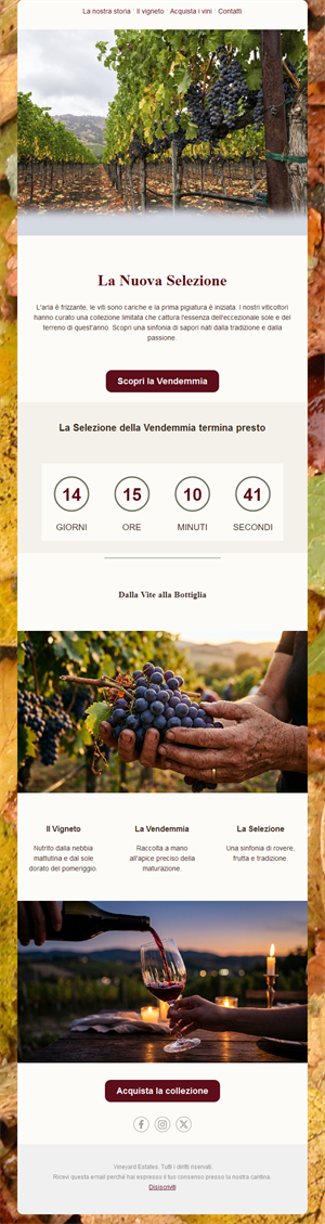 Vineyard Elegance Emails