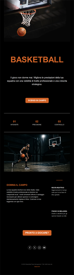 Basketball Newsletters Email