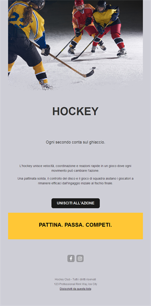 Email hockey grigia e gialla