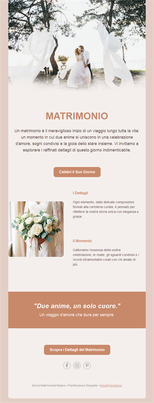 Email elegante di nozze color terracotta